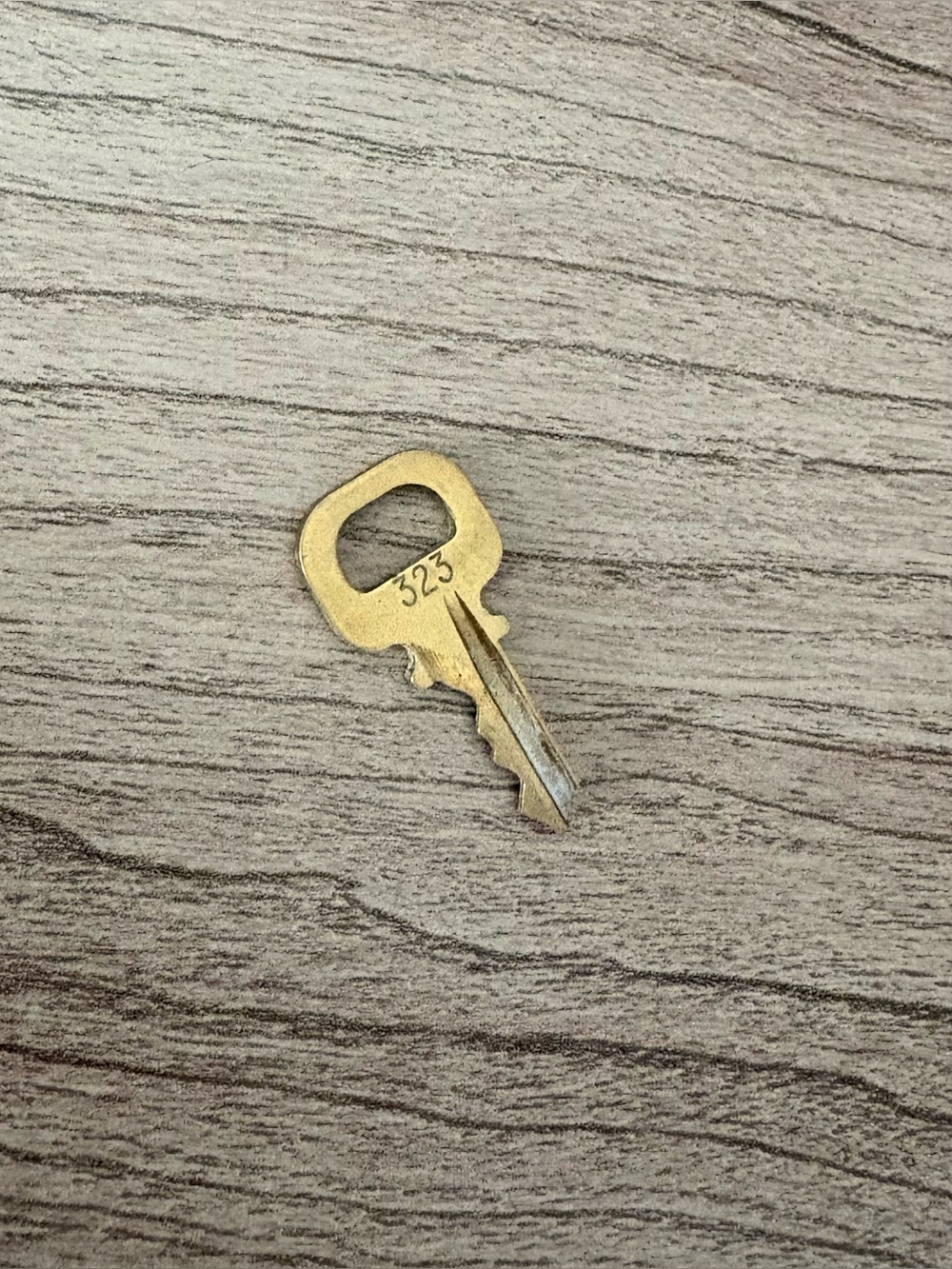 Louis Vuitton Brass Key #323 replacement